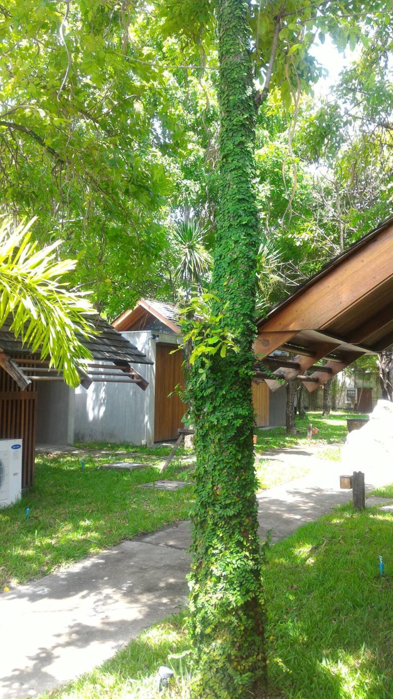 Into The Forest Resort Bangkok Dış mekan fotoğraf